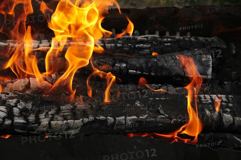 Close up view of burning firewood in the fire outdoor