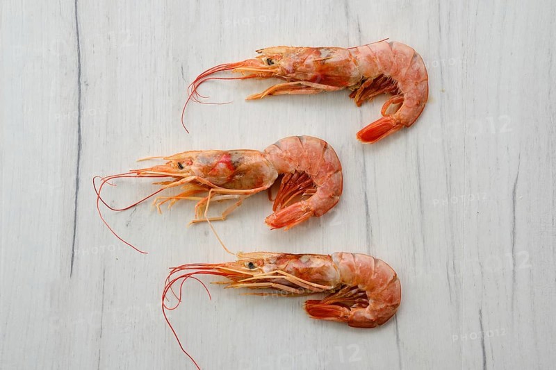 Three fresh raw prawns on wooden background