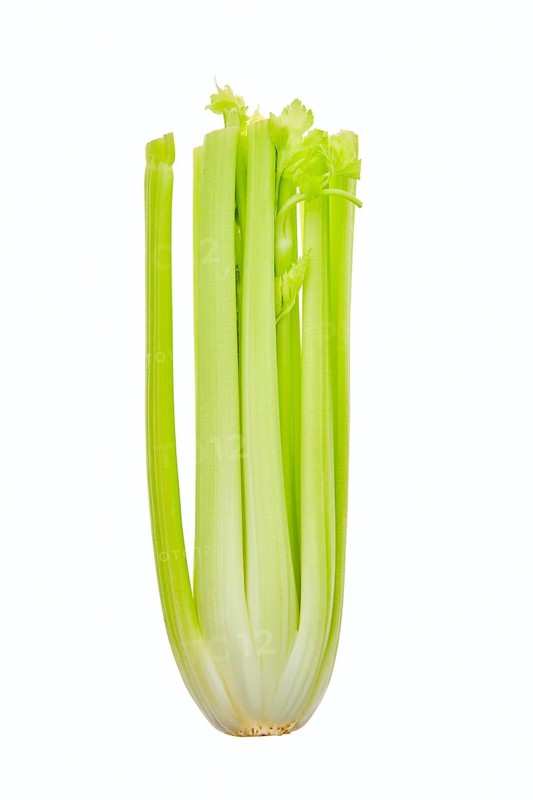 Fresh raw celery isolated on white background