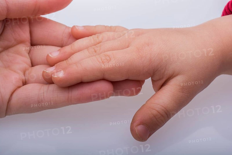 Child and grown up hands together on a white backgkround