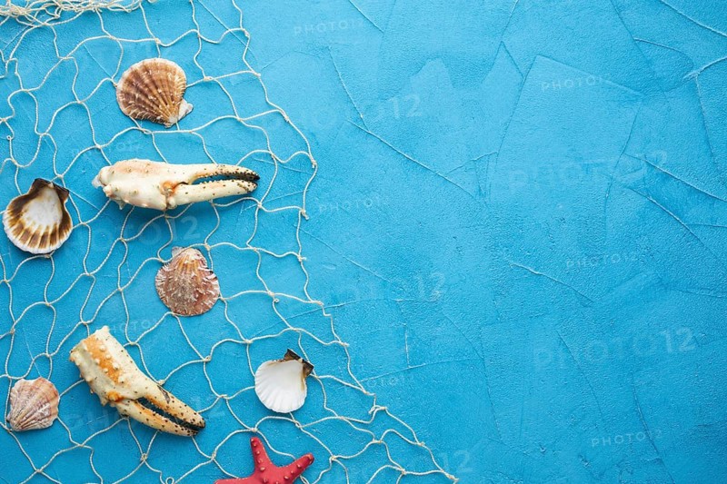 Top view clams lobster fishnet. Resolution and high quality beautiful photo