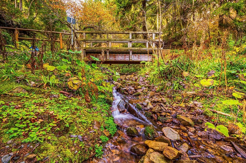 Long exposure of a small stream in the Schoenjungferngrund in the Ore Mountains below the Fichtelberg