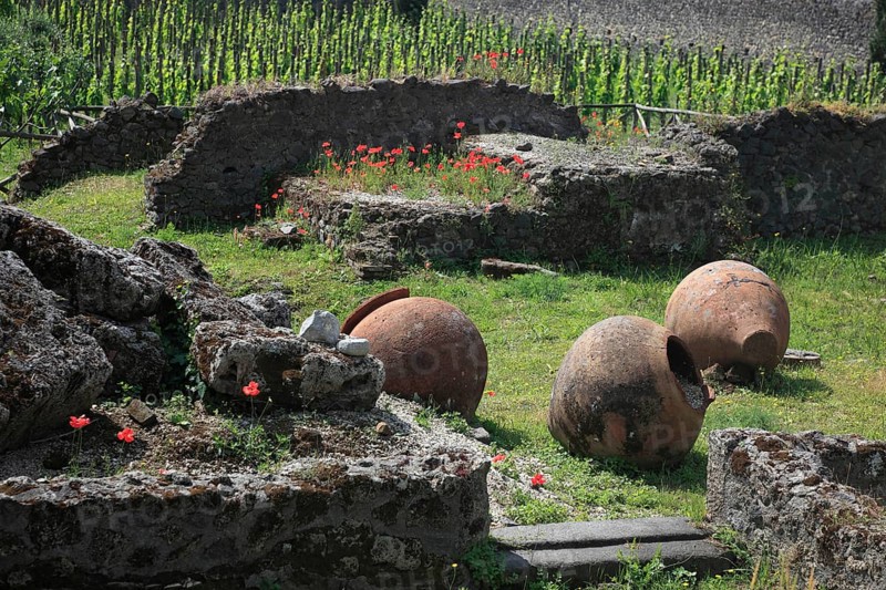 The amphora field at the Garden of Refugees