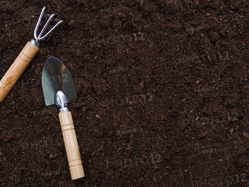 Top view gardening tools. Resolution and high quality beautiful photo