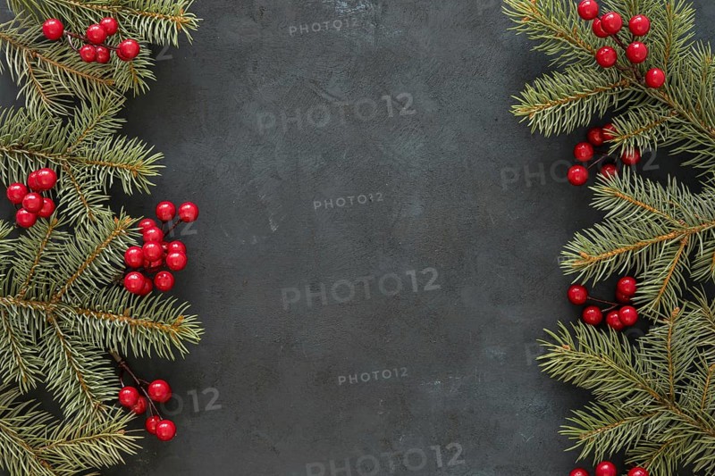 Top view pine needles mistletoe. Resolution and high quality beautiful photo