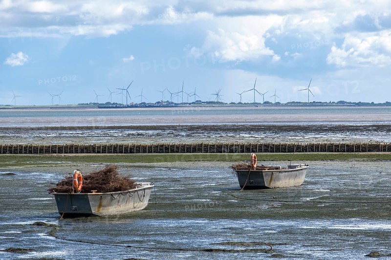 Boats with fascines
