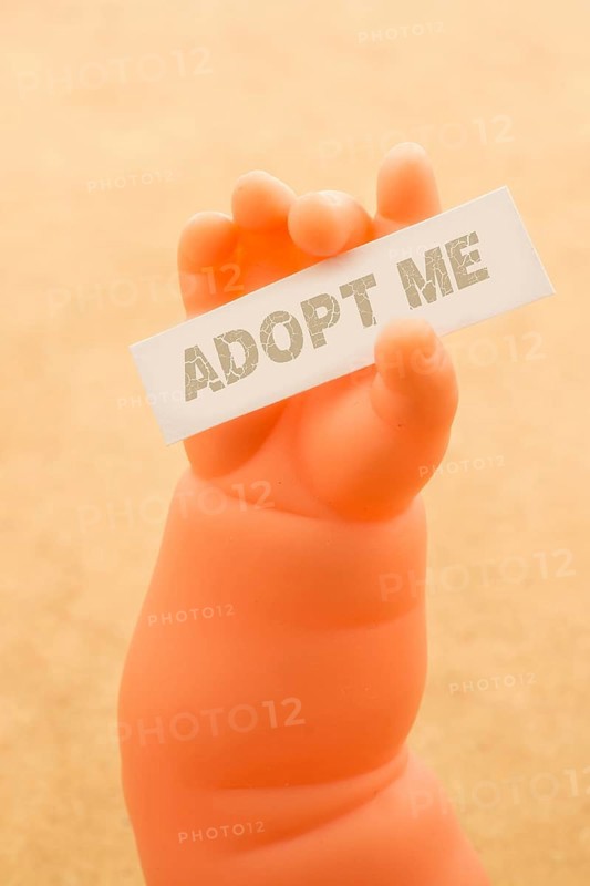 Toy doll hand holding paper with ADOPT ME wording