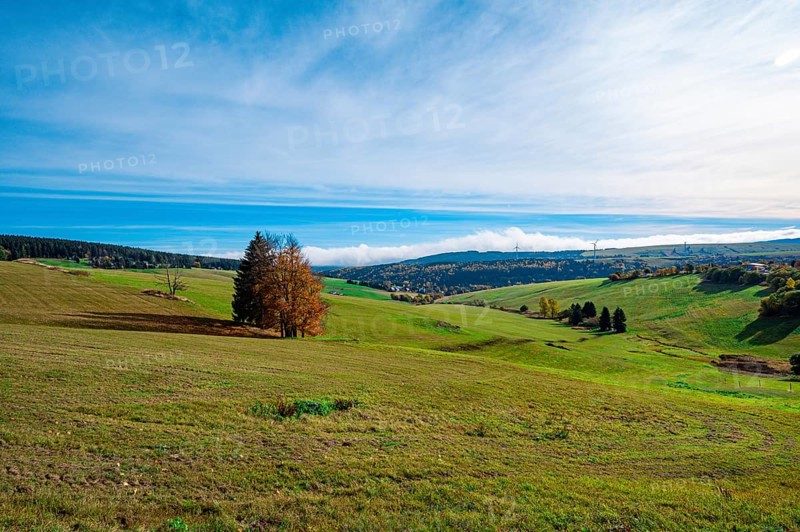 A meadow with a colourful deciduous tree at the foot of the Fichtelberg mountain with a view into the valley in autumn