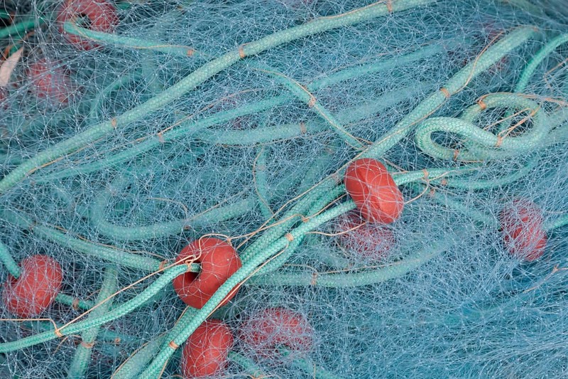 Fishing net