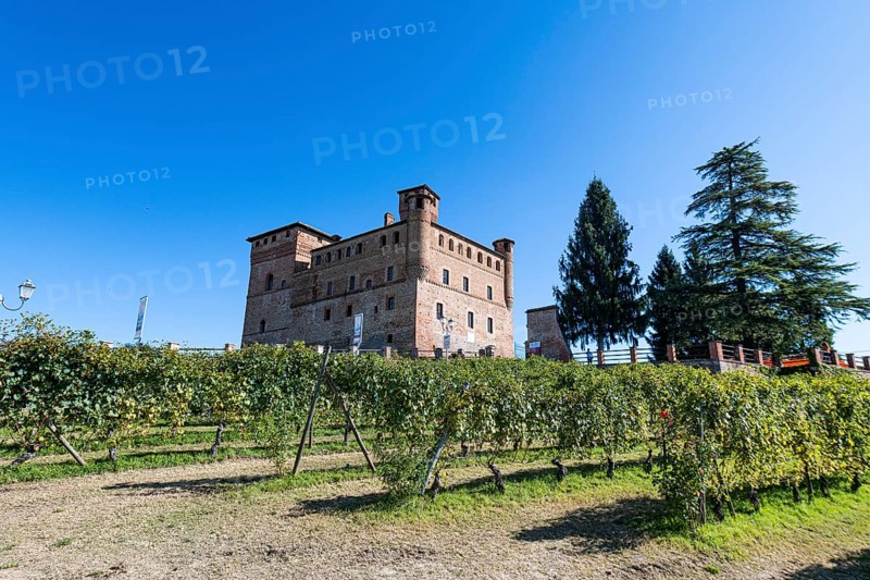 Castle of Grinzane Cavour