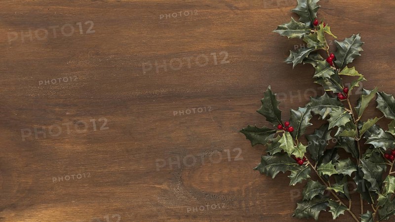 Green holly branches brown table