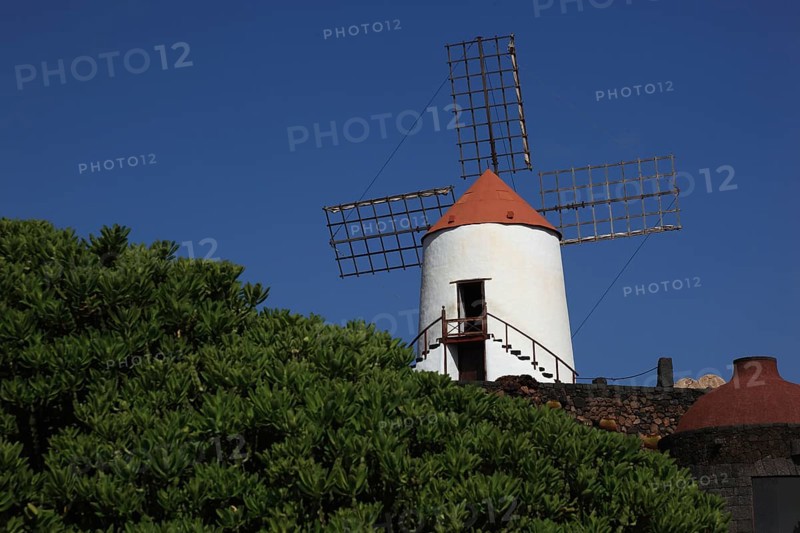 Gofio mill