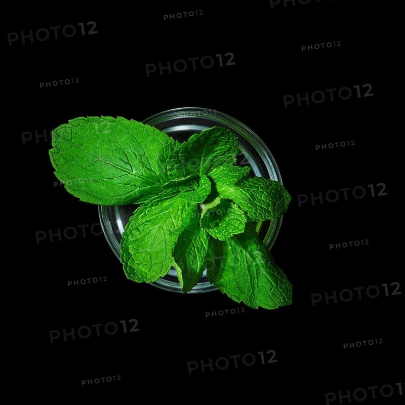 Top view of pot with mint isolated on black