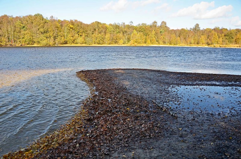Nature reserve