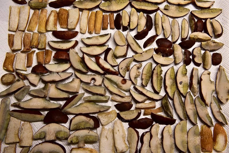 Cut chestnut boletus