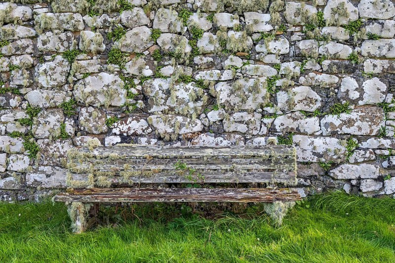 Old bench in front of stone wall with moss and lichen