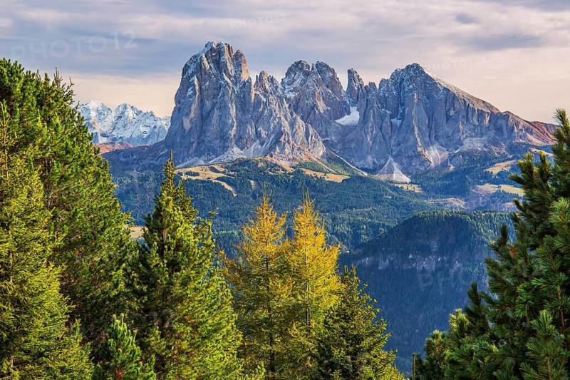 Sassolungo Group 3181m