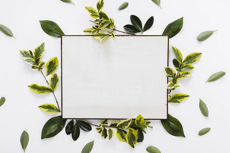 Flat lay paper card template with leaves