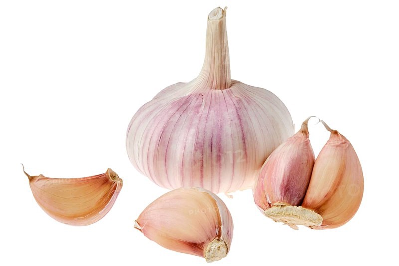 Fresh garlic with segments isolated on white background