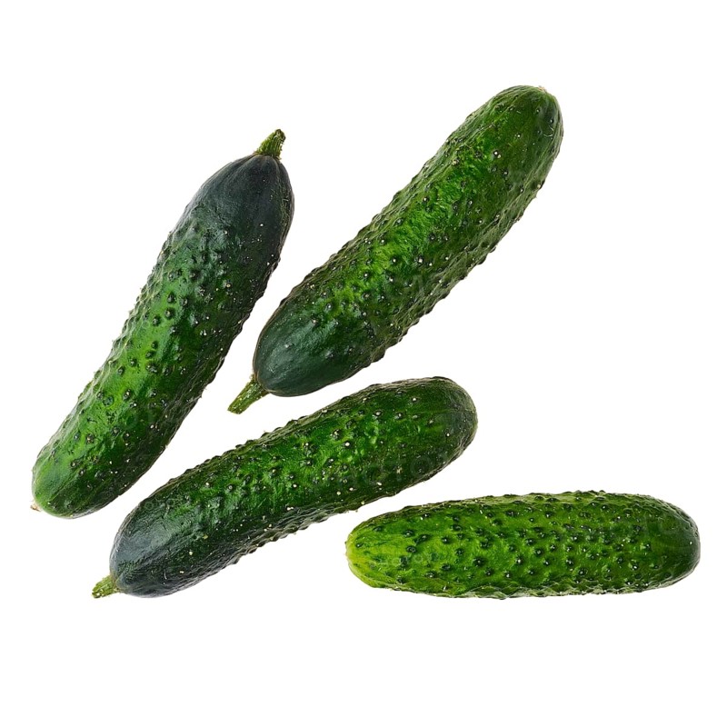 Top view of fresh spring cucumber isolated on white background