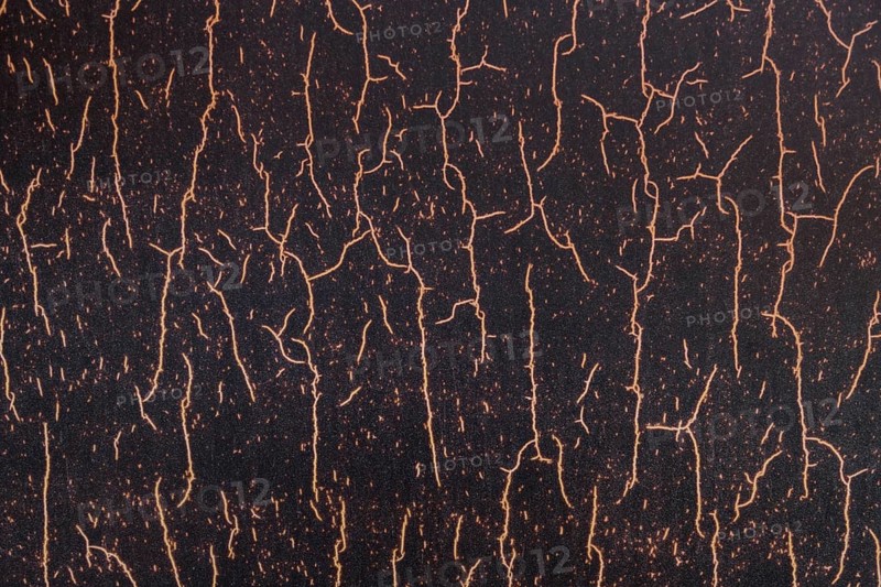 Roots plant ground. Resolution and high quality beautiful photo