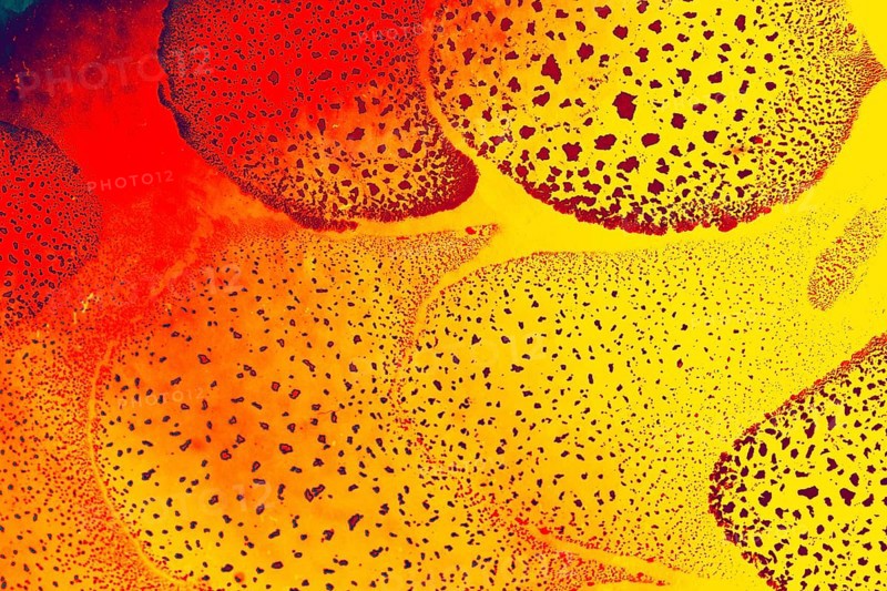 Oil bubbles inside water base form patterns