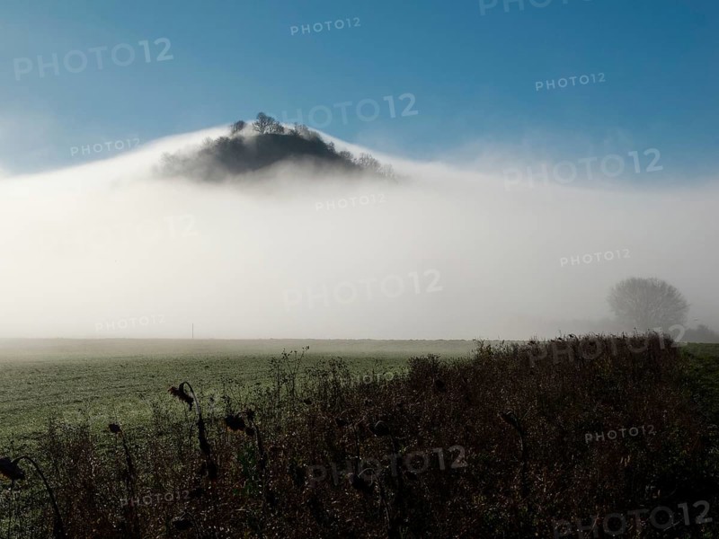 View of the Hohenkarpfen in the fog