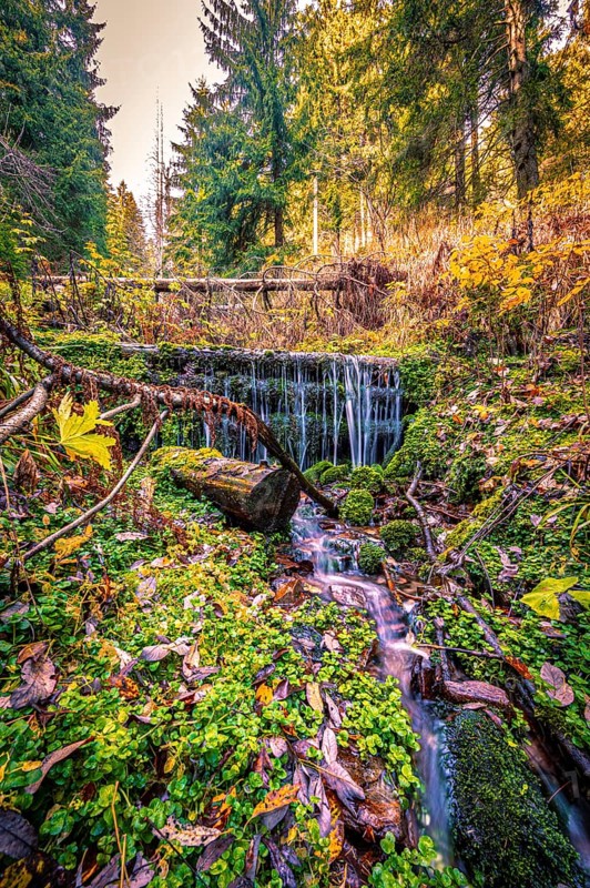 Long exposure of a small stream with a small waterfall in the Schoenjungferngrund in the Erzgebirge below the Fichtelberg