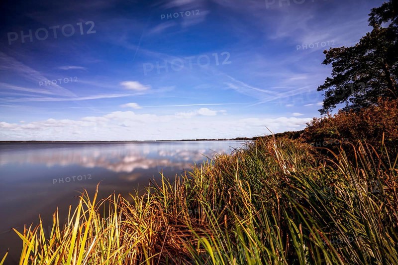 Reed on the shore of Steinhuder Meer with view towards Steinhude in autumn with blue sky and veil clouds