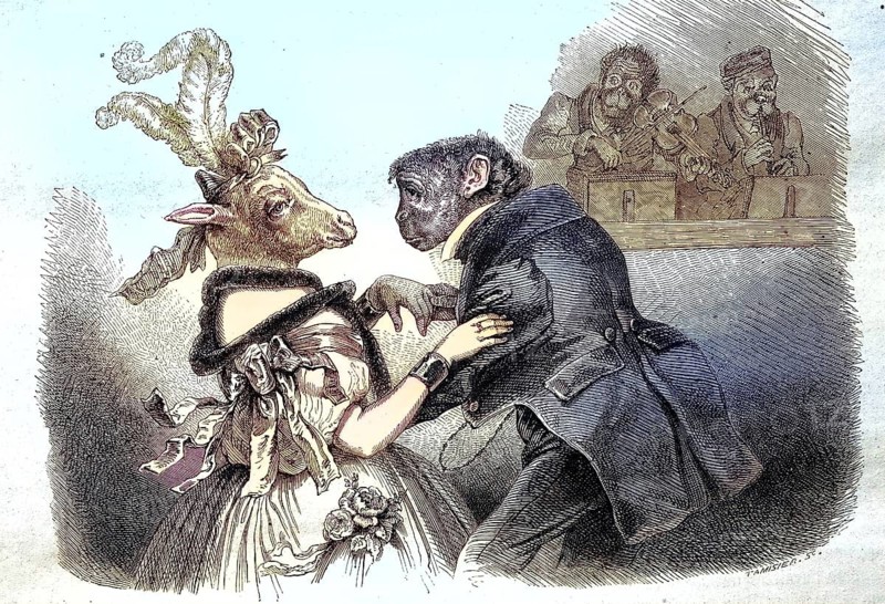 The Ball of the Animals
