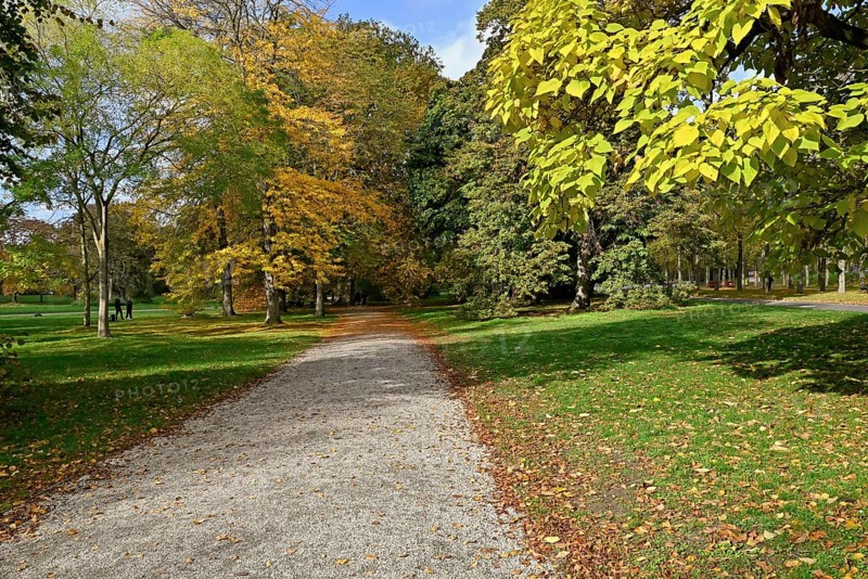 Deciduous trees in the Georgengarten