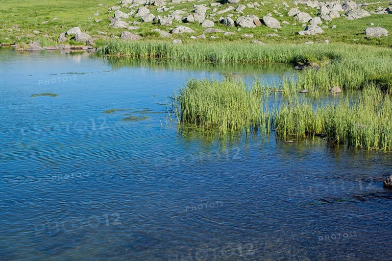 Highland lake in green natural background in Artvin province of Turkey