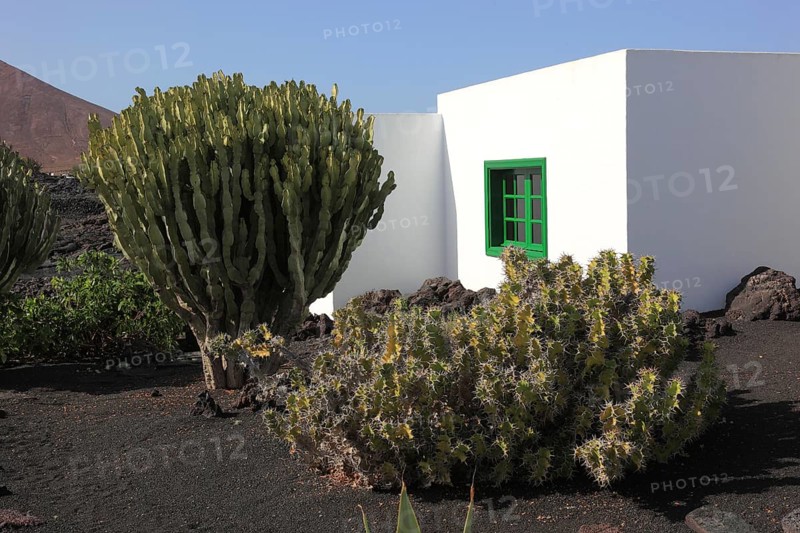 Fundacion Cesar Manrique