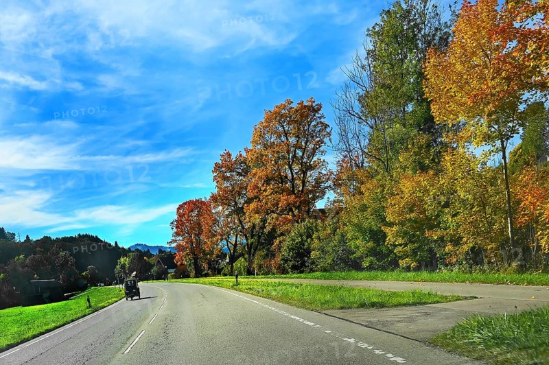 Country road in autumnal Ostrachtal