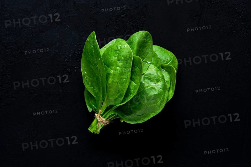Fresh green baby spinach leaves on abstract black background