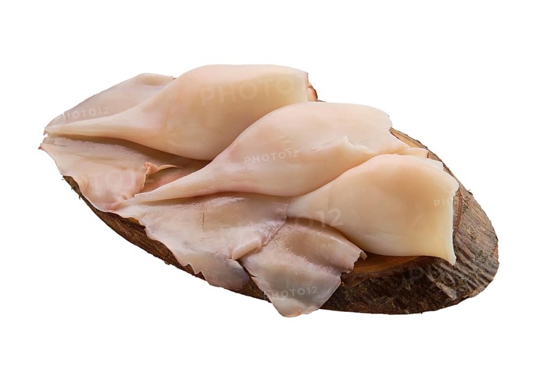 Frozen pilled squid isolated on white background