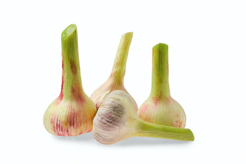 Fresh garlic isolated on white background