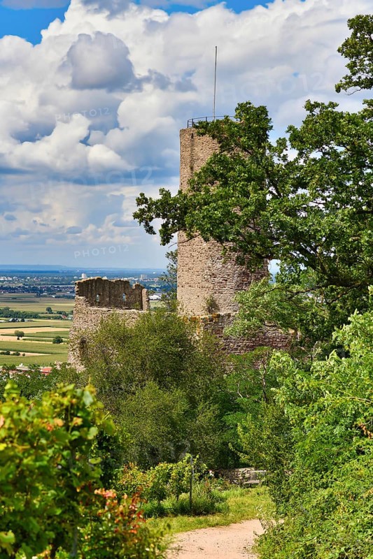 German castle ruin and restaurant called Strahlenburg in Odenwald forest in Schriesheim city