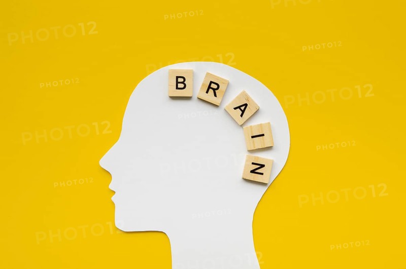 White head with brain word from scrabbles letters. Resolution and high quality beautiful photo