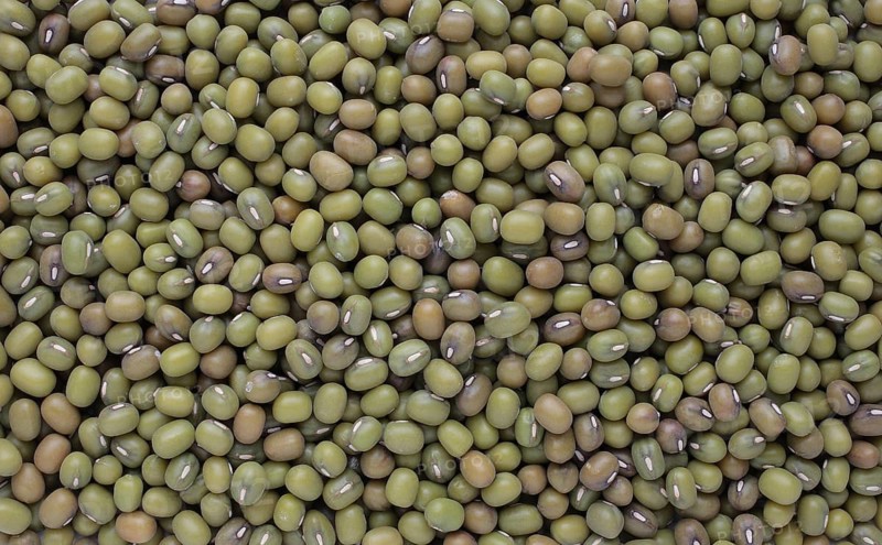 Mung bean