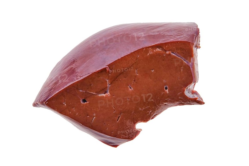 Raw fresh beef liver isolated on white background