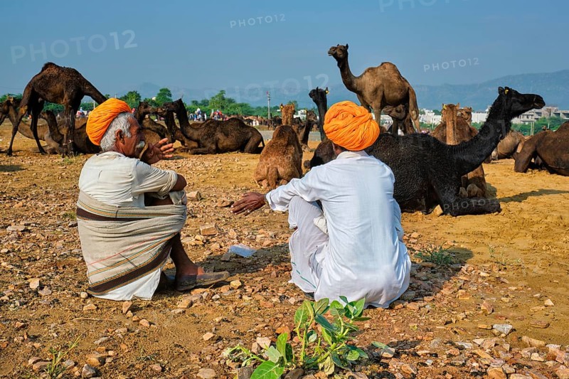 Pushkar