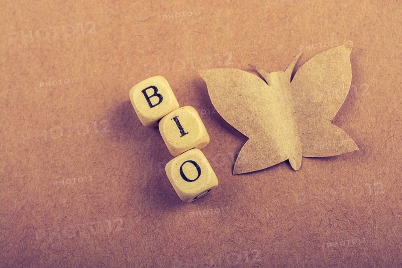 Butterfly cut of paper and bio wording on brown background