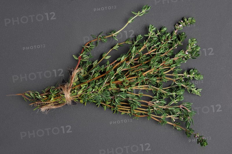 Bunch of thyme on black background