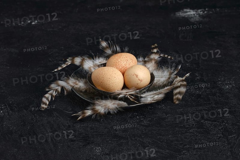 Three guinea fowl eggs in metal bowl