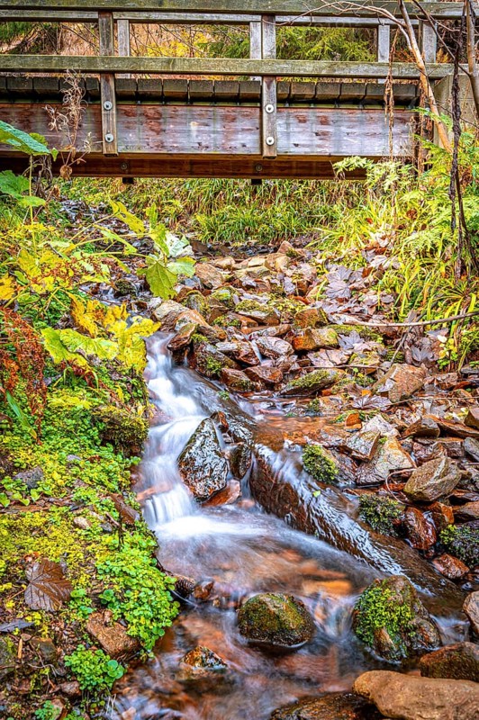 Long exposure of a small stream in the Schoenjungferngrund in the Ore Mountains below the Fichtelberg