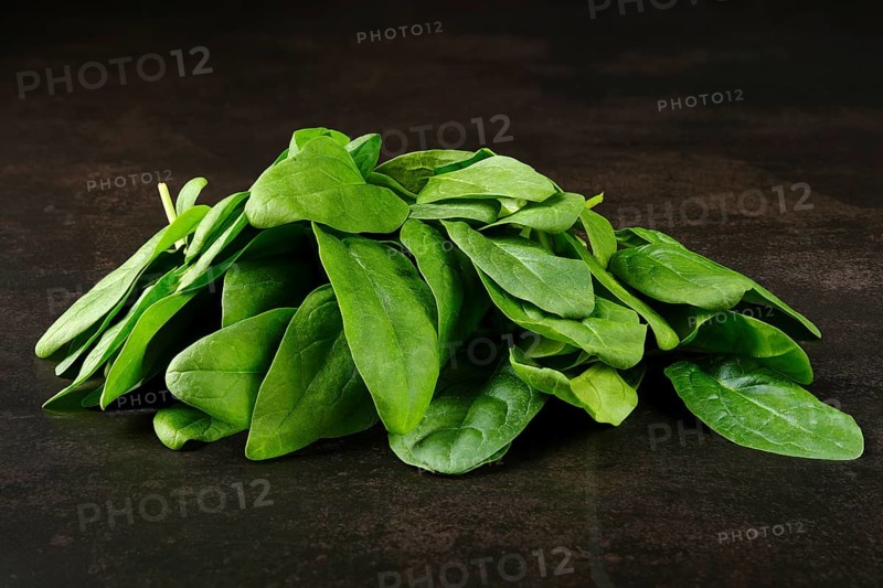 Leavews of fresh spinach on dark background
