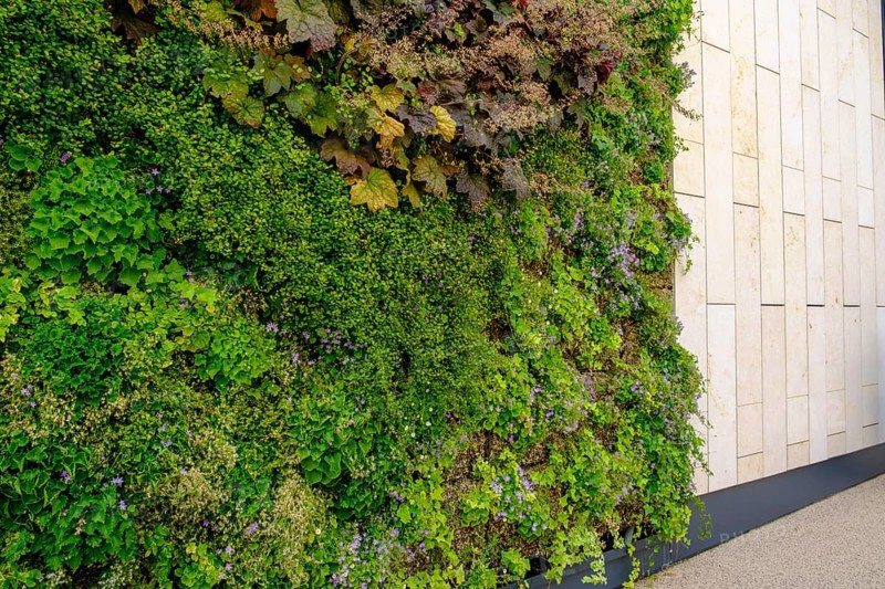 Living green walls