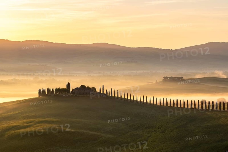 Poggio Covili estate with cypress