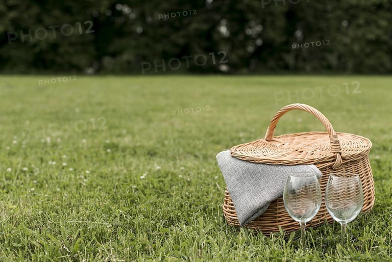 Picnic basket park grass